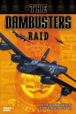 The Dambusters Raid (1994)