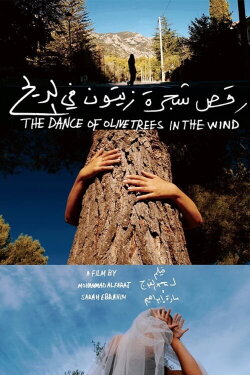 The Dance of Olive Trees in the Wind (2020)