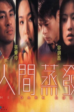 The Dark Rose (2000) The Dark Rose (2000)