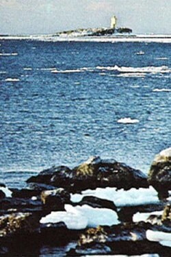 The Day Has Many Eyes (1980) The Day Has Many Eyes (1980)