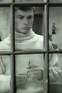 The Death of a Provincial (1966) The Death of a Provincial (1966)