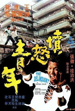 The Delinquent (1973) The Delinquent (1973)