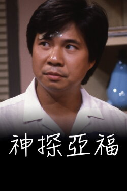 The Detective (1984) The Detective (1984)