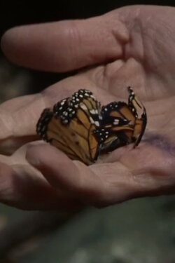 The devil in the details (2020) The devil in the details (2020)
