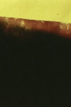 The Distance Between Here and There (2005) The Distance Between Here and There (2005)