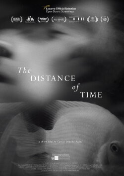 The Distance of Time (2021) The Distance of Time (2021)