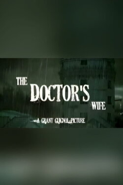 The Doctor's Wife (2011) The Doctor's Wife (2011)