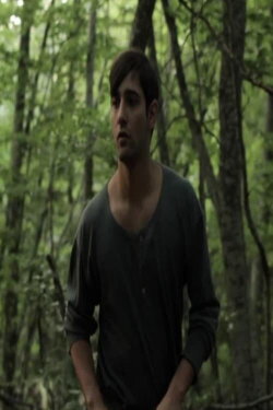 The dome (2012) The dome (2012)