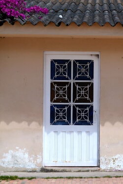 The Doors of Perception (2020)