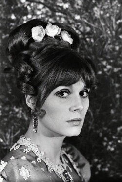 The Double Contempt (1967) The Double Contempt (1967)