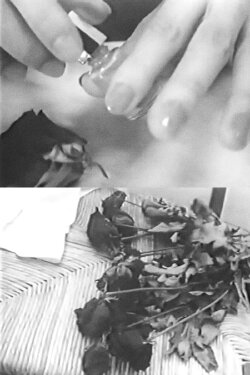 The Drooping Roses (1994) The Drooping Roses (1994)