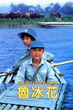 The Dull-Ice Flower (1989) The Dull-Ice Flower (1989)