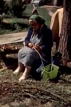 The Earth is Our Home (1979) The Earth is Our Home (1979)