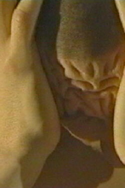 The Eastern House (2003) The Eastern House (2003)