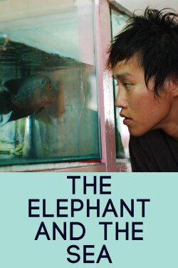 The Elephant and the Sea (2007) The Elephant and the Sea (2007)