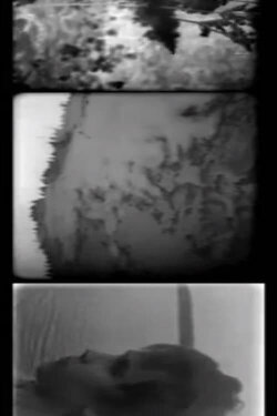 The Elusive Horizon (2014) The Elusive Horizon (2014)