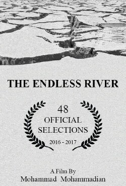 The Endless River (2016)