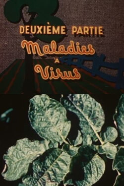 The Enemies of the Potato: Virus Diseases (1949) The Enemies of the Potato: Virus Diseases (1949)