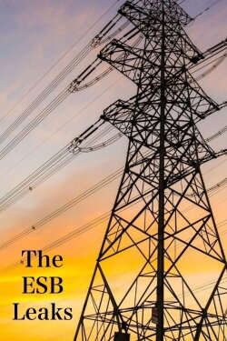 The ESB Leaks (2019) The ESB Leaks (2019)