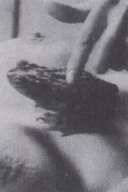 The Essence of Transformation (1990) The Essence of Transformation (1990)