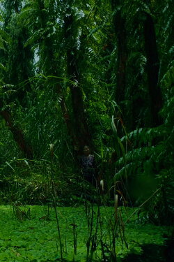 The Eternal Springtime (2021)