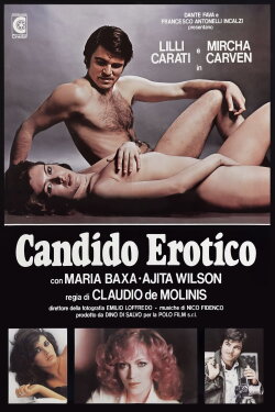 The Exhibitionist (1978) The Exhibitionist (1978)