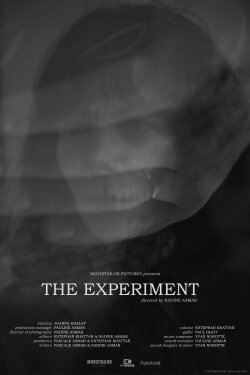 The Experiment (2026)