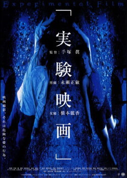 The Experimental Film (2000) The Experimental Film (2000)