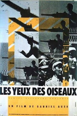 The Eyes of the Birds (1983) The Eyes of the Birds (1983)