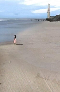 The Eyes of the Lighthouse (2010)