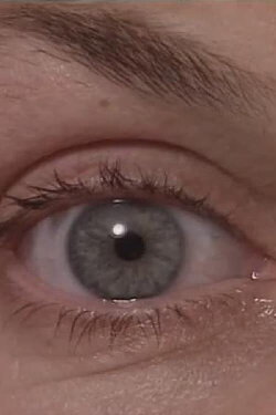The Eyewitness (1996) The Eyewitness (1996)