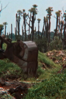 The Fabricated Wild (2020) The Fabricated Wild (2020)