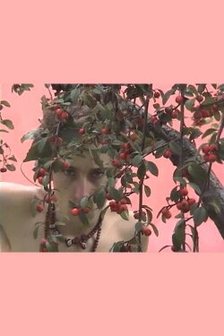 The Faery Garden (2008) The Faery Garden (2008)