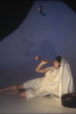The Fan of Spiral Shell (1983) The Fan of Spiral Shell (1983)