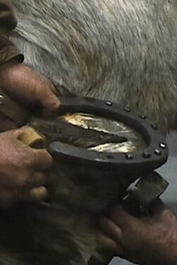 The Farrier (1977)