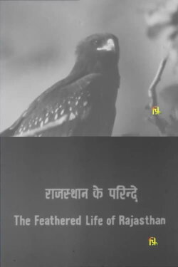 The Feathered Life of Rajasthan (1981) The Feathered Life of Rajasthan (1981)