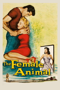 The Female Animal (1958) The Female Animal (1958)