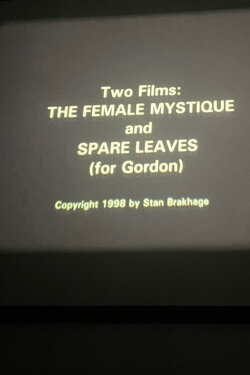 The Female Mystique and Spare Leaves (for Gordon) (1998) The Female Mystique and Spare Leaves (for Gordon) (1998)