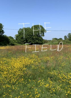 The Field (2013) The Field (2013)