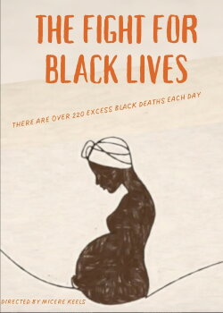 The Fight for Black Lives (2024) The Fight for Black Lives (2024)