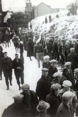 The Finest Kind: A People's History of the Lockeport Lockout, 1939 (1979) The Finest Kind: A People's History of the Lockeport Lockout, 1939 (1979)