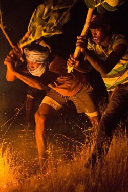The Fire Brigade (2023) The Fire Brigade (2023)