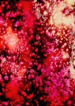 The Flickering of the Minds Eye (2001)