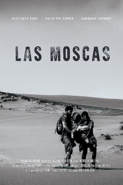 The Flies (2017)