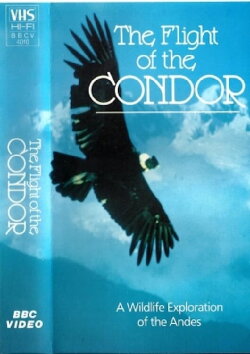 The Flight of the Condor (1985) The Flight of the Condor (1985)