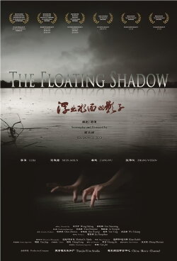 The Floating Shadow (2012) The Floating Shadow (2012)