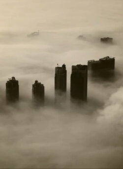 The Floating World (2013)