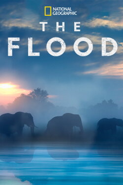 The Flood (2018) The Flood (2018)