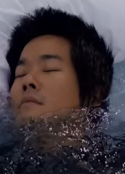The Flood (2013)