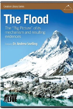 The Flood (2009)